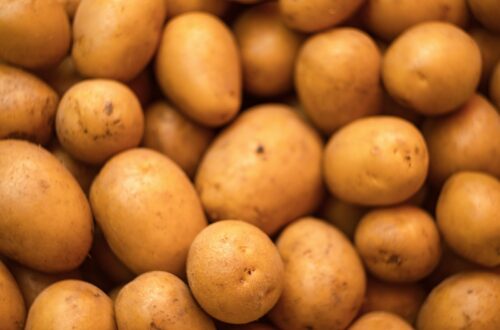 Placki ziemniaczane - sekrety idealnego smaku i chrupkości